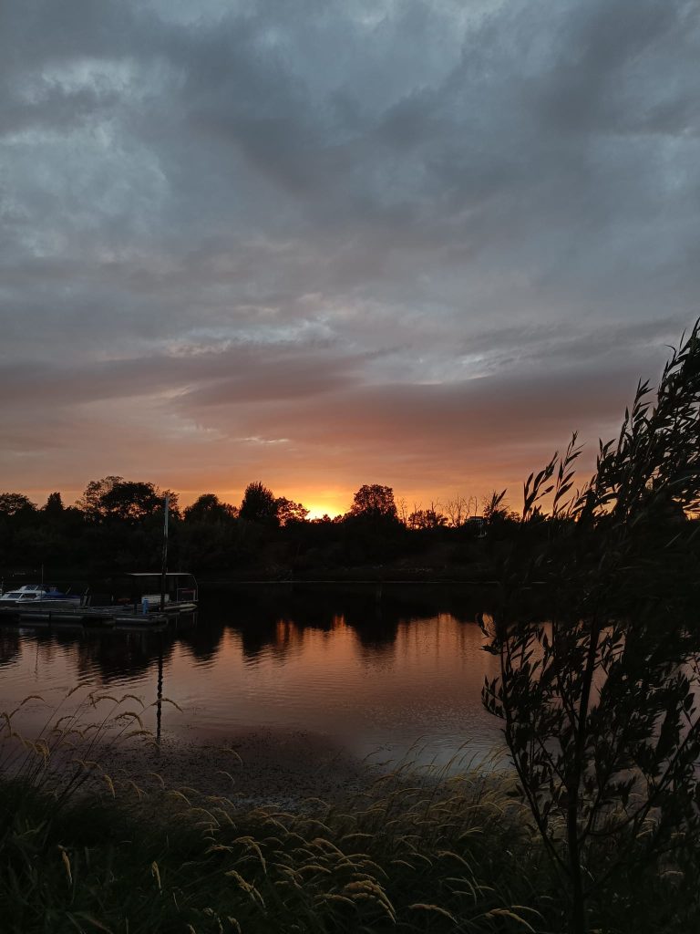The sunset